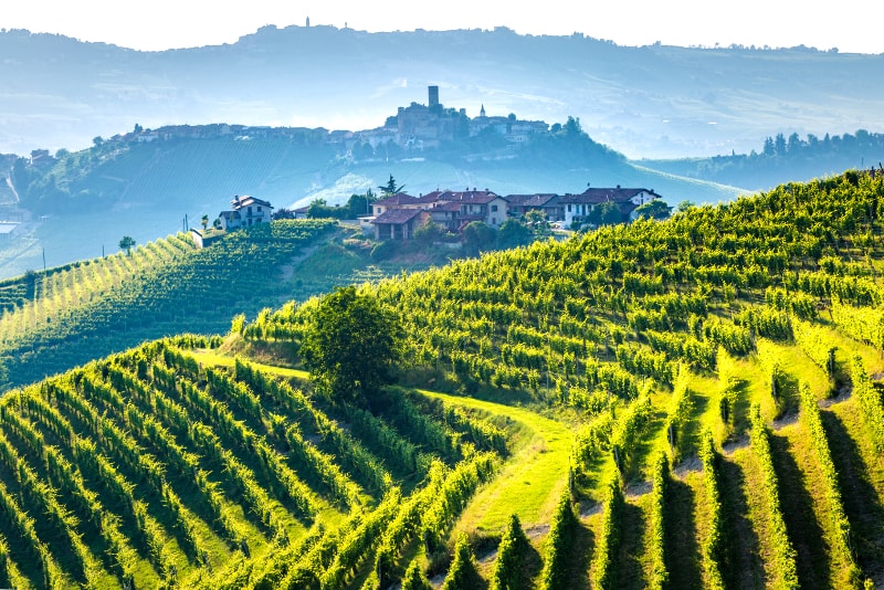A vineyard in Tuscany, Italy with rolling hills.